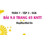 Bài 9.8 trang 65 Toán 7 Tập 2 Kết nối tri thức